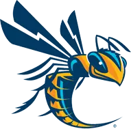 Cedarville University logo